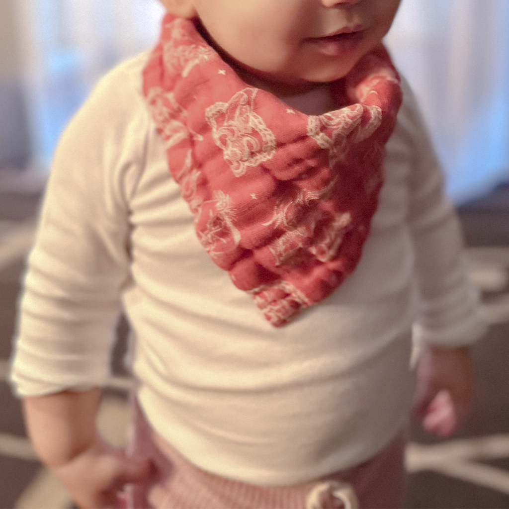 Sometimes Lullaby Baby Bandana Bib Set